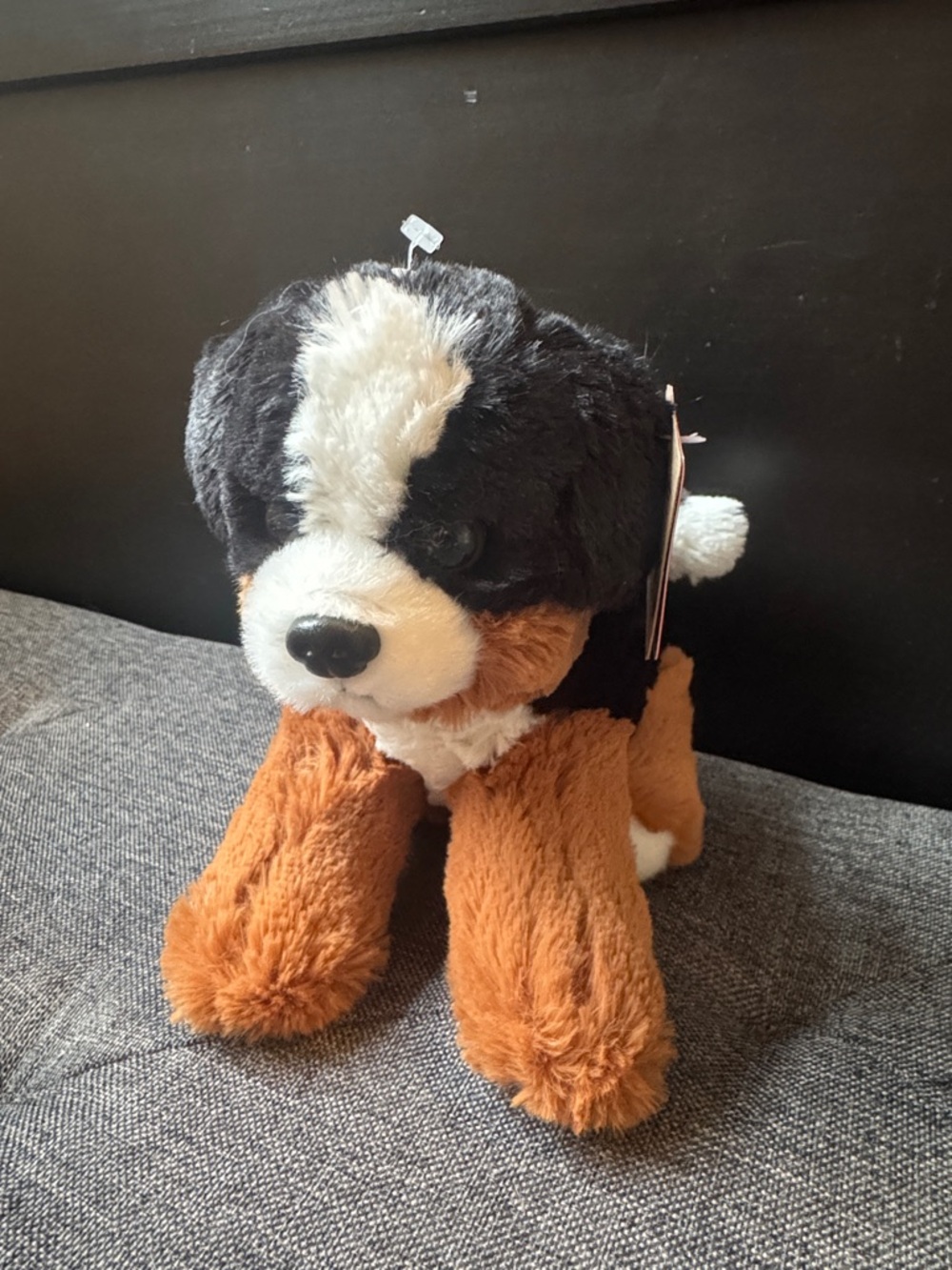 AURORA WORLD Plush BERNESE MOUNTAIN DOG Soft Puppy Gift NWOT 8”